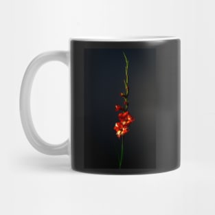 Red and White Gladioulus Mug